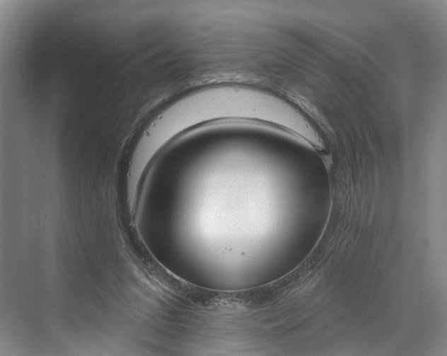 X0000070200207200606091607