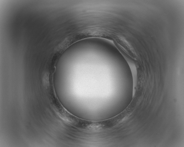 X0000070200213200606091607