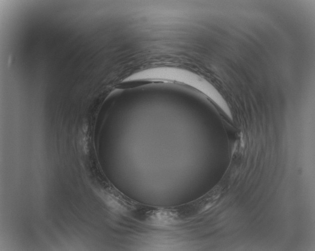 X0000070200223200606091607