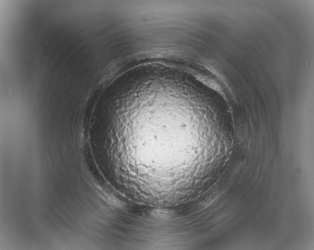 X0000070200261200606091606