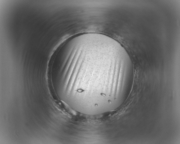 X0000070200292200606091605