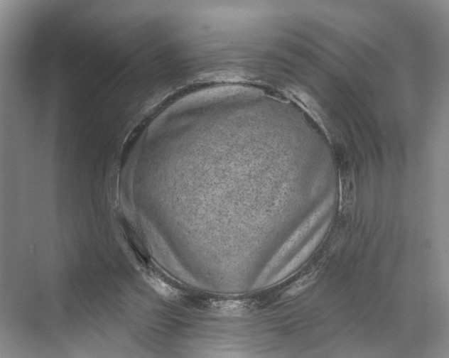 X0000070200301200606091605