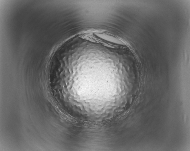 X0000070200337200606091604