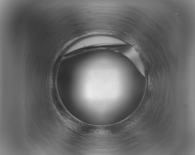 X0000070200348200606091604