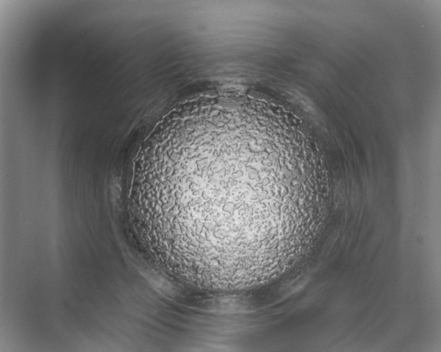 X0000070200365200606091604