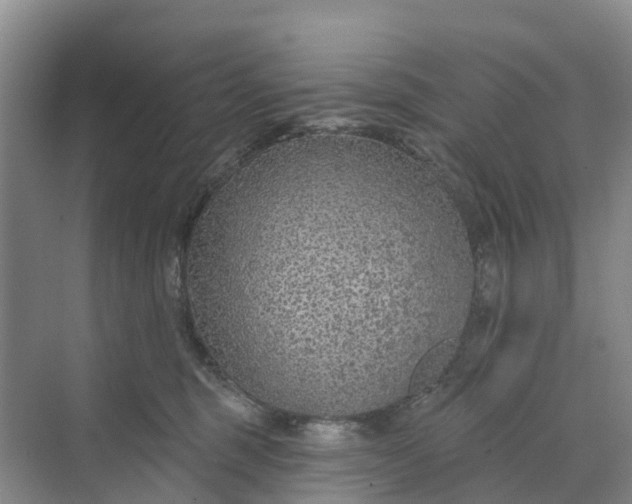 X0000070200375200606091605