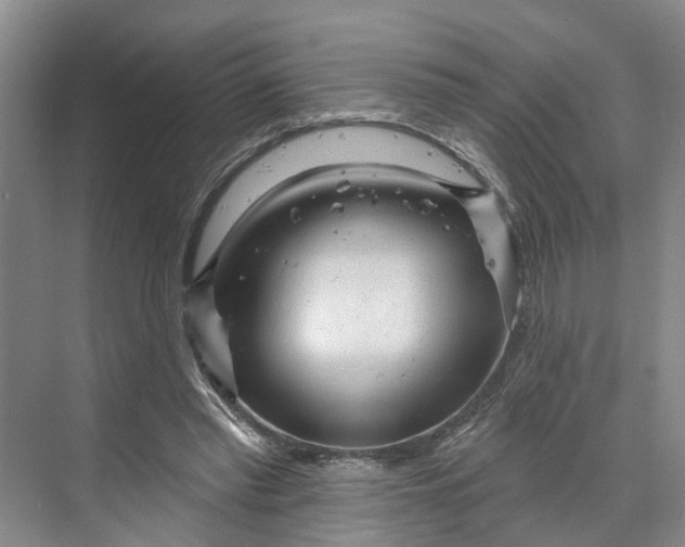 X0000070200397200606091604