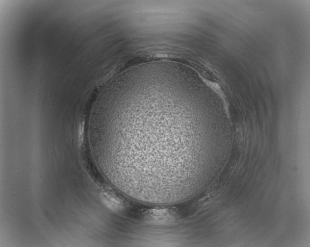 X0000070200406200606091604