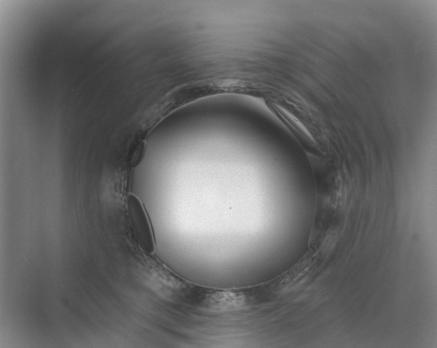 X0000070200421200606091603