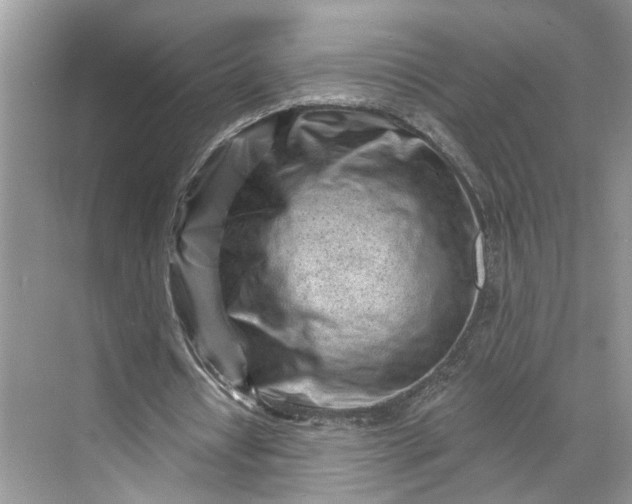 X0000070200434200606091602