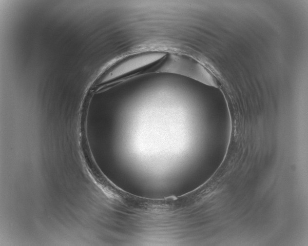 X0000070200438200606091602