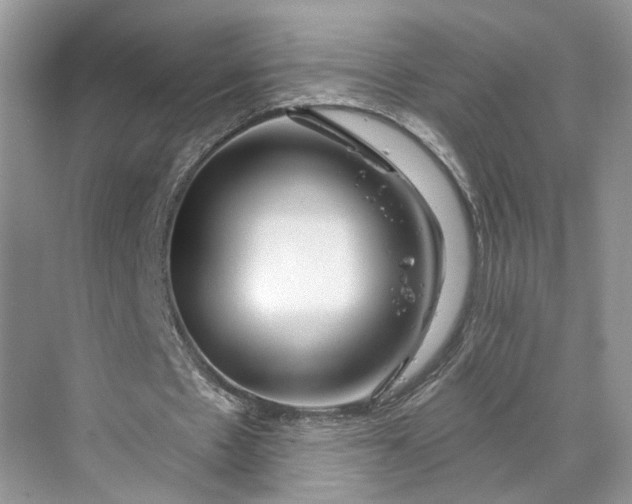 X0000070200481200606091602