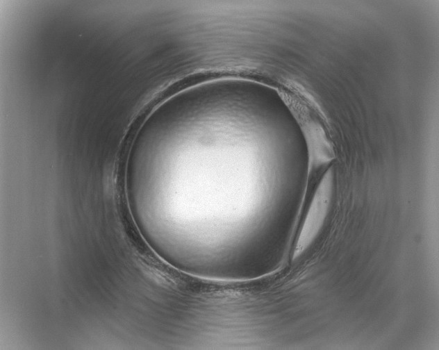 X0000070200483200606091602