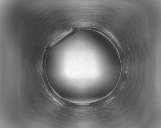 X0000070200485200606091602