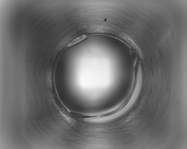 X0000070200489200606091602