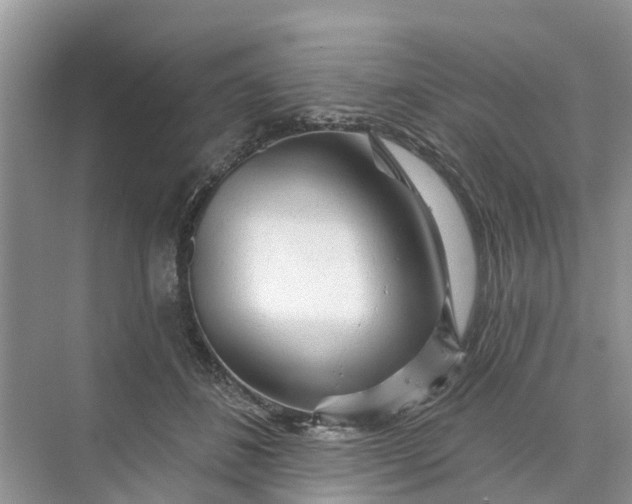 X0000070200508200606091602