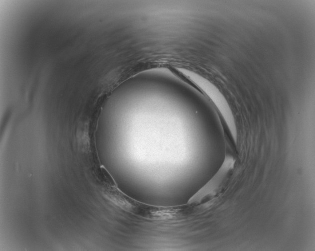 X0000070200516200606091602