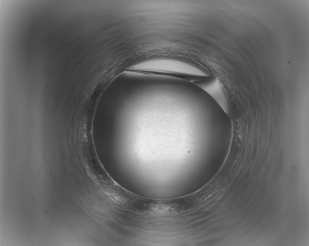 X0000070200547200606091601
