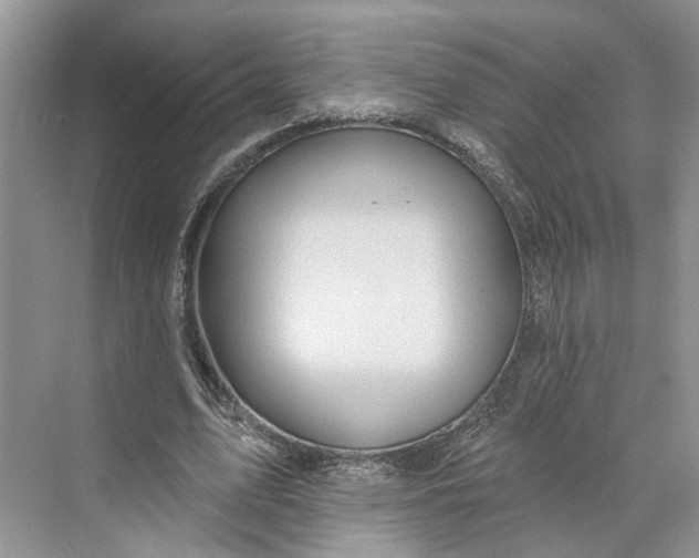 X0000070200583200606091601