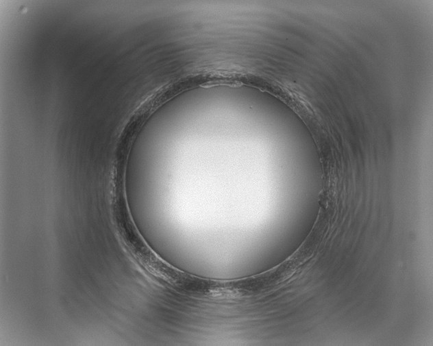 X0000070200591200606091600