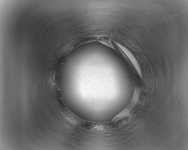 X0000070200611200606091600