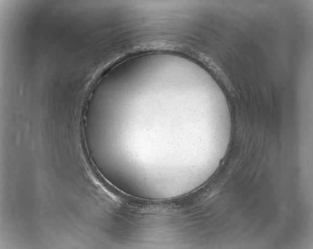 X0000070200625200606091559