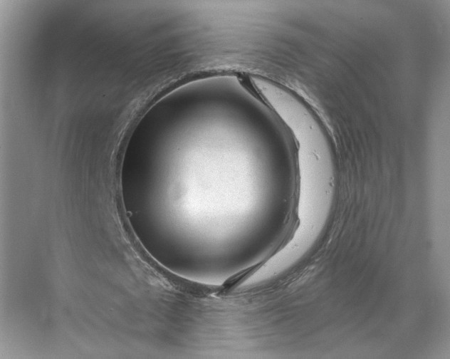 X0000070200673200606091559