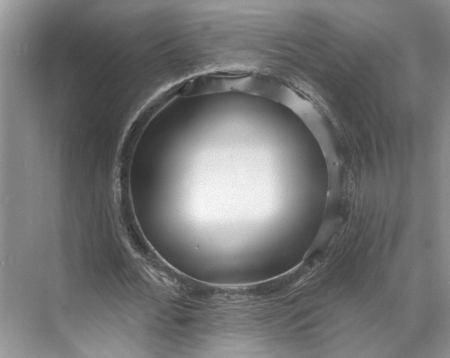 X0000070200676200606091559