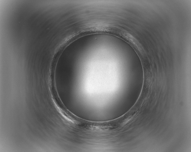 X0000070200677200606091559