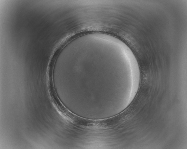 X0000070200678200606091559