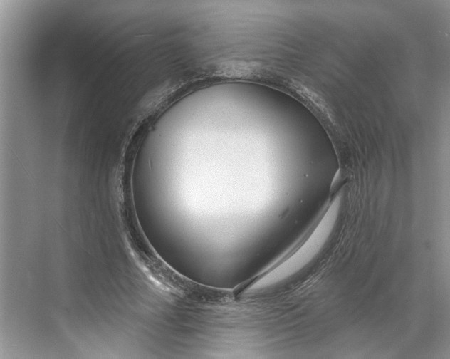 X0000070200682200606091559
