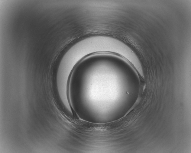 X0000070200692200606091559