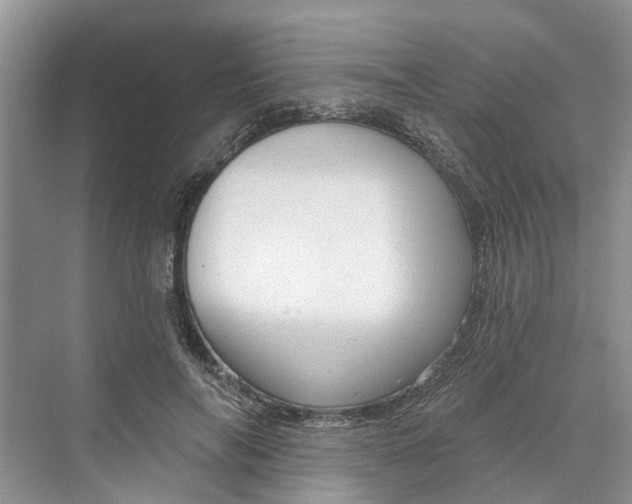 X0000070200694200606091559