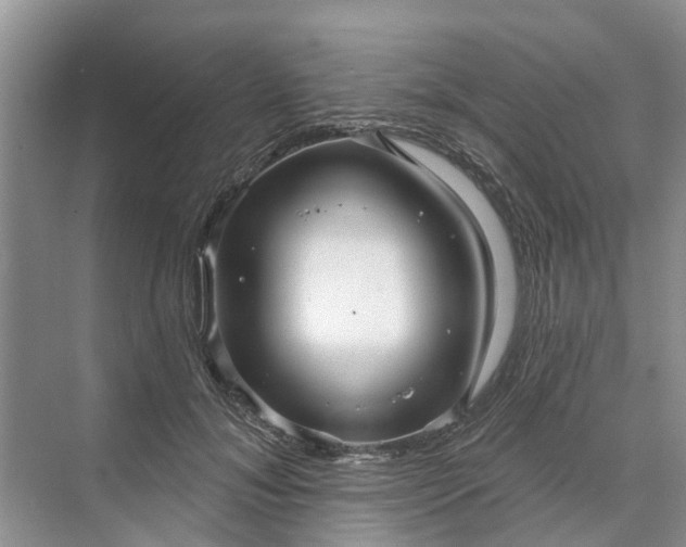 X0000070200700200606091559