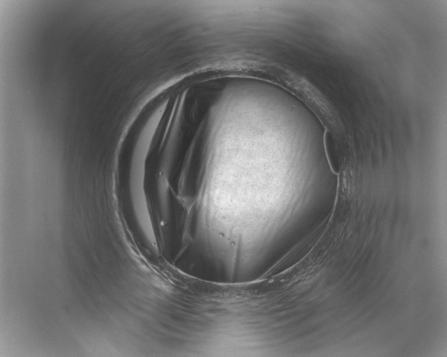 X0000070200724200606091557