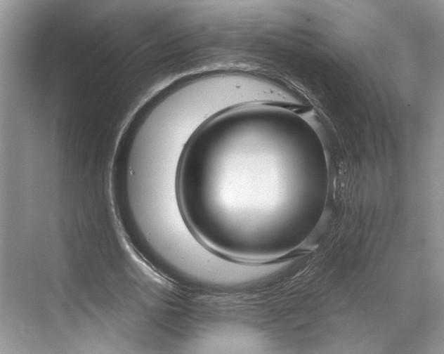 X0000070200726200606091558