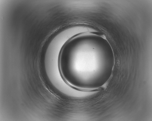 X0000070200732200606091558