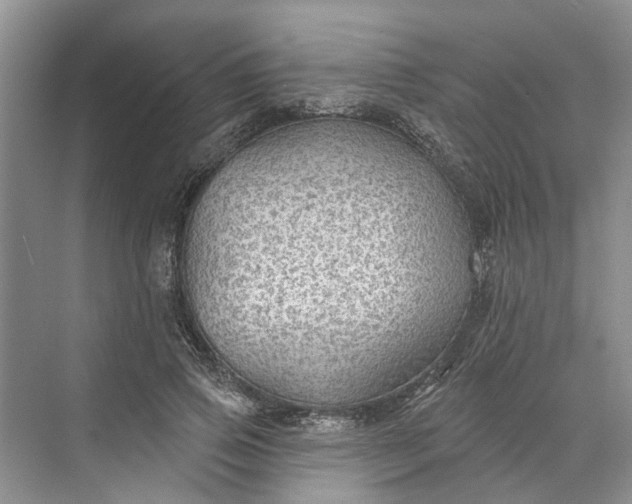 X0000070200741200606091558