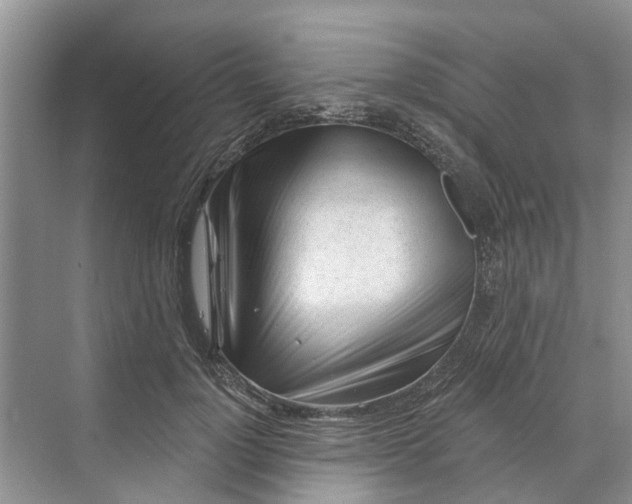 X0000070200748200606091558