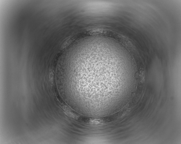 X0000070200753200606091558