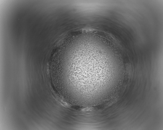 X0000070200761200606091558
