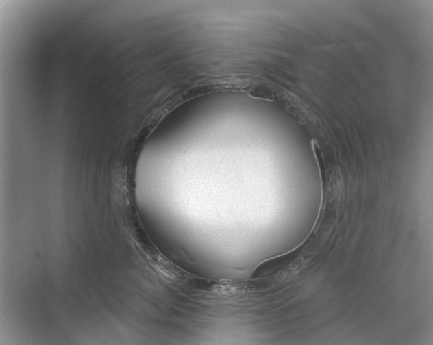 X0000070200764200606091558
