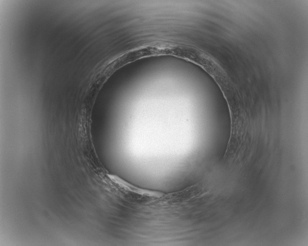 X0000070200773200606091557
