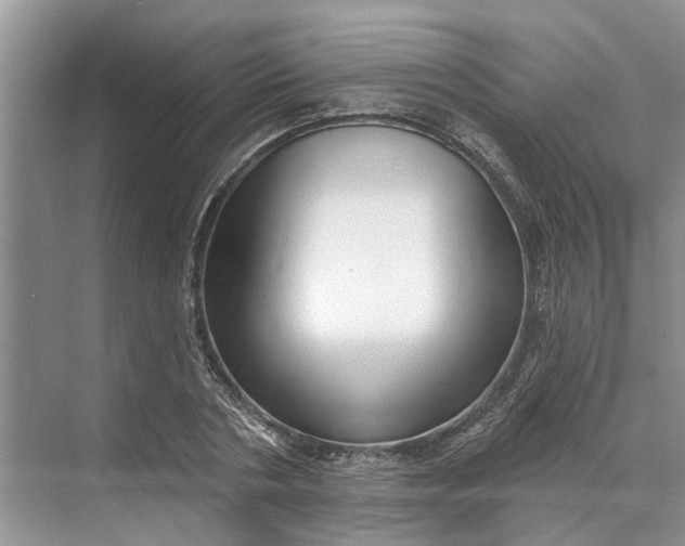 X0000070200786200606091557