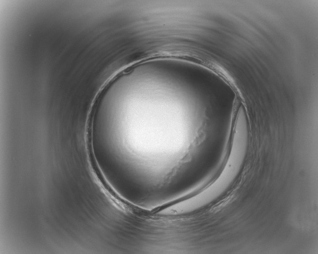 X0000070200803200606091557