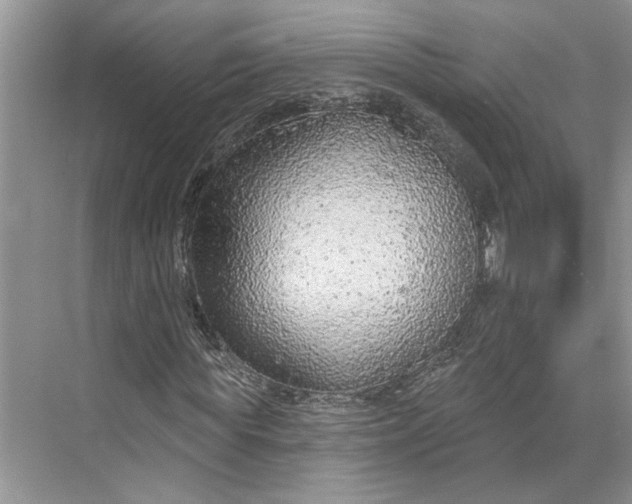 X0000070200819200606091556