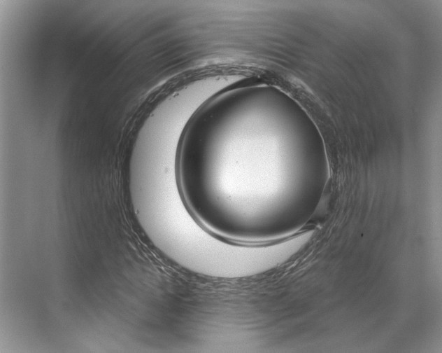 X0000070200822200606091556