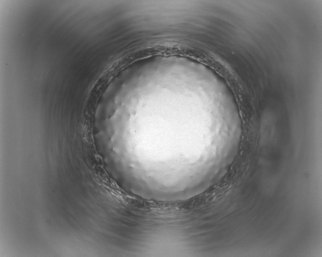 X0000070200823200606091556