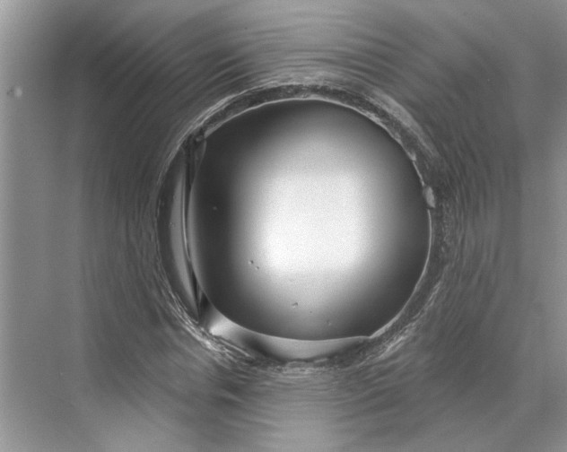 X0000070200826200606091556