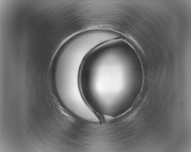 X0000070200830200606091556